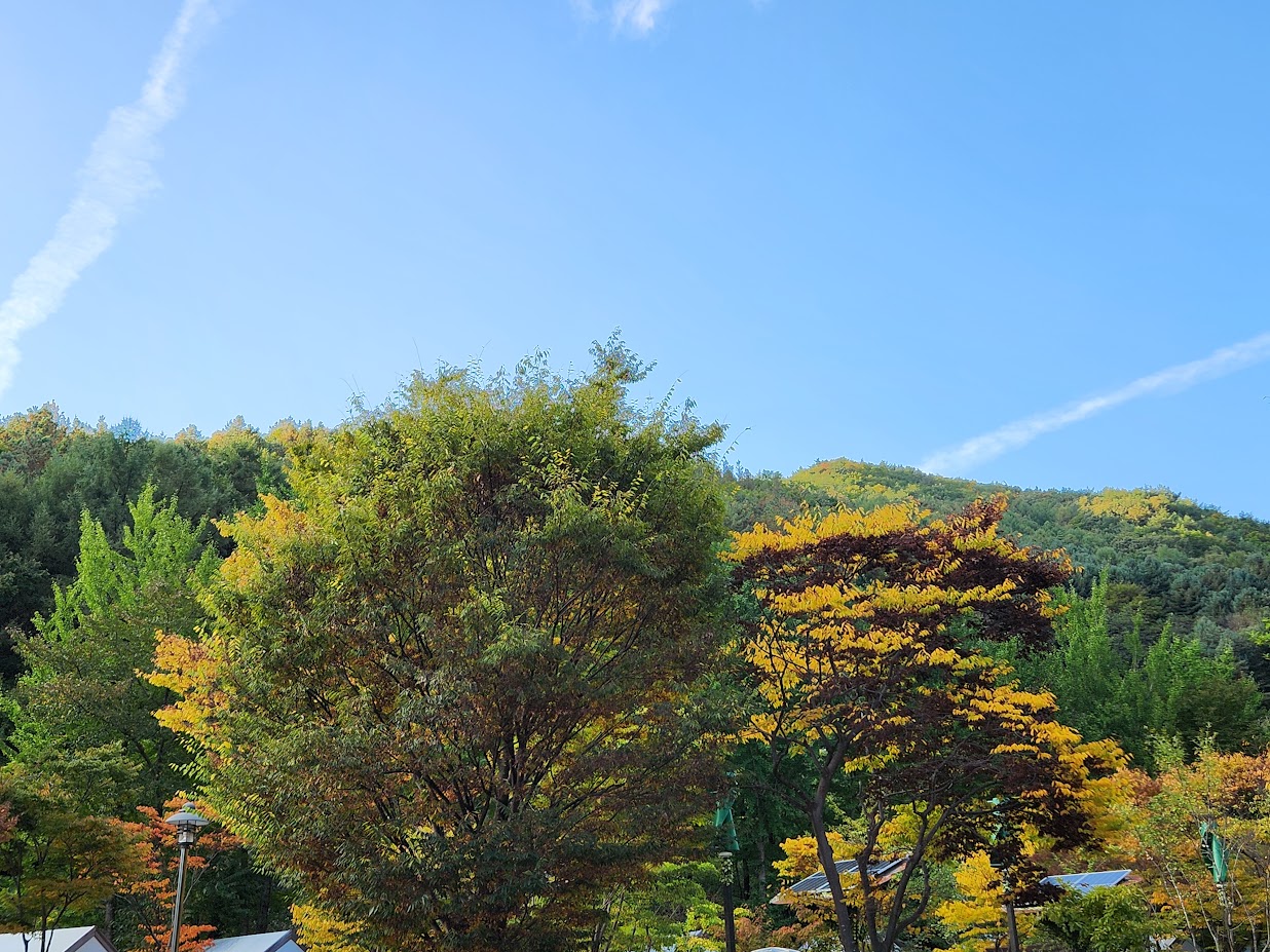 소백산국립공원 삼가야영장 이미지