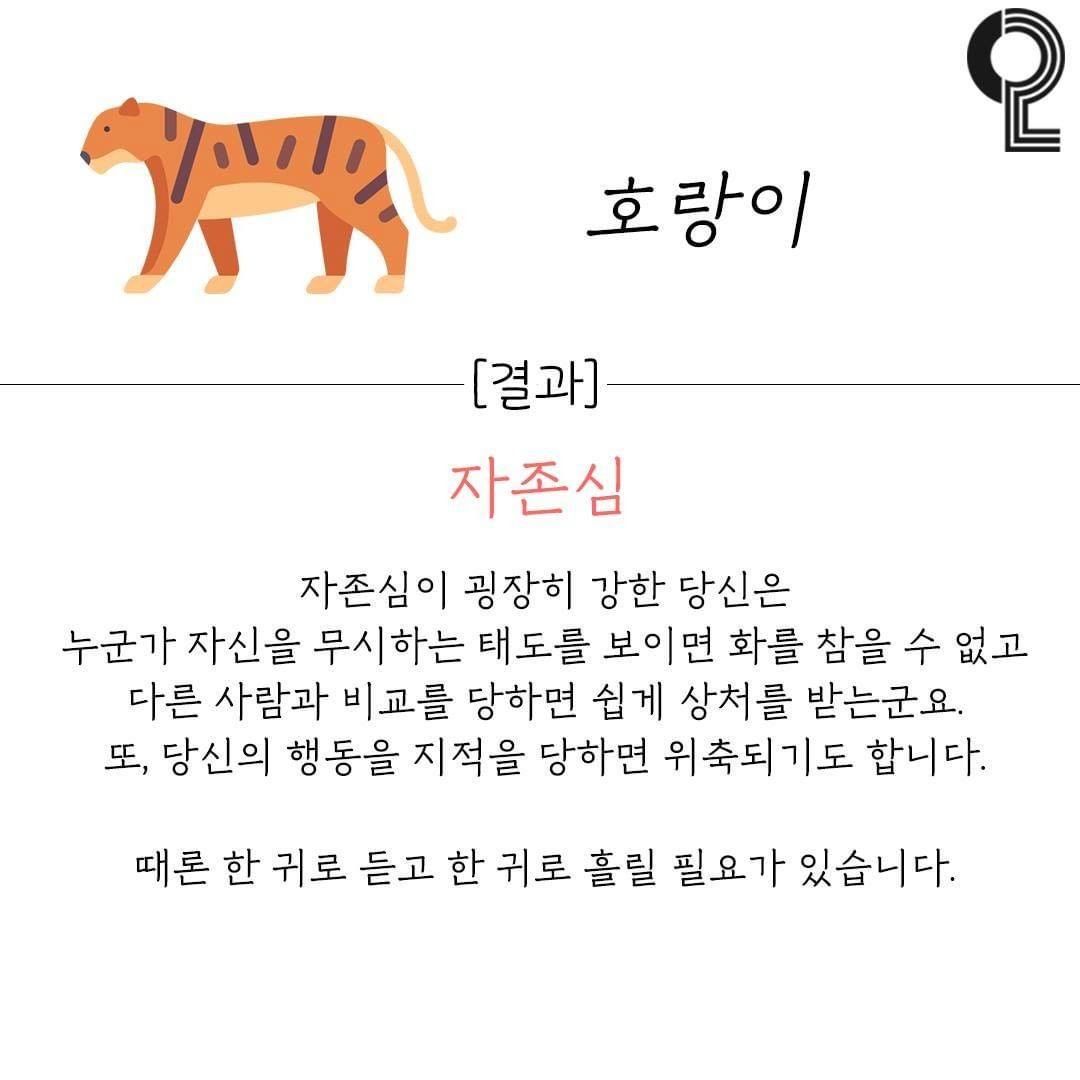 동물로 알아보는 내 스트레스 원인을 분석하는 심리테스트 동물로 알아보는 내 스트레스 원인을 분석하는 심리테스트