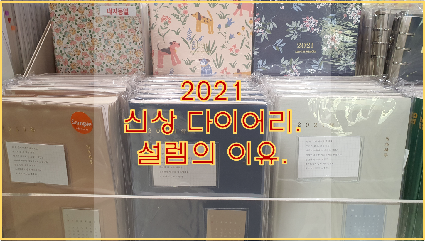  Dailylike  2021년 다이어리 리뷰!