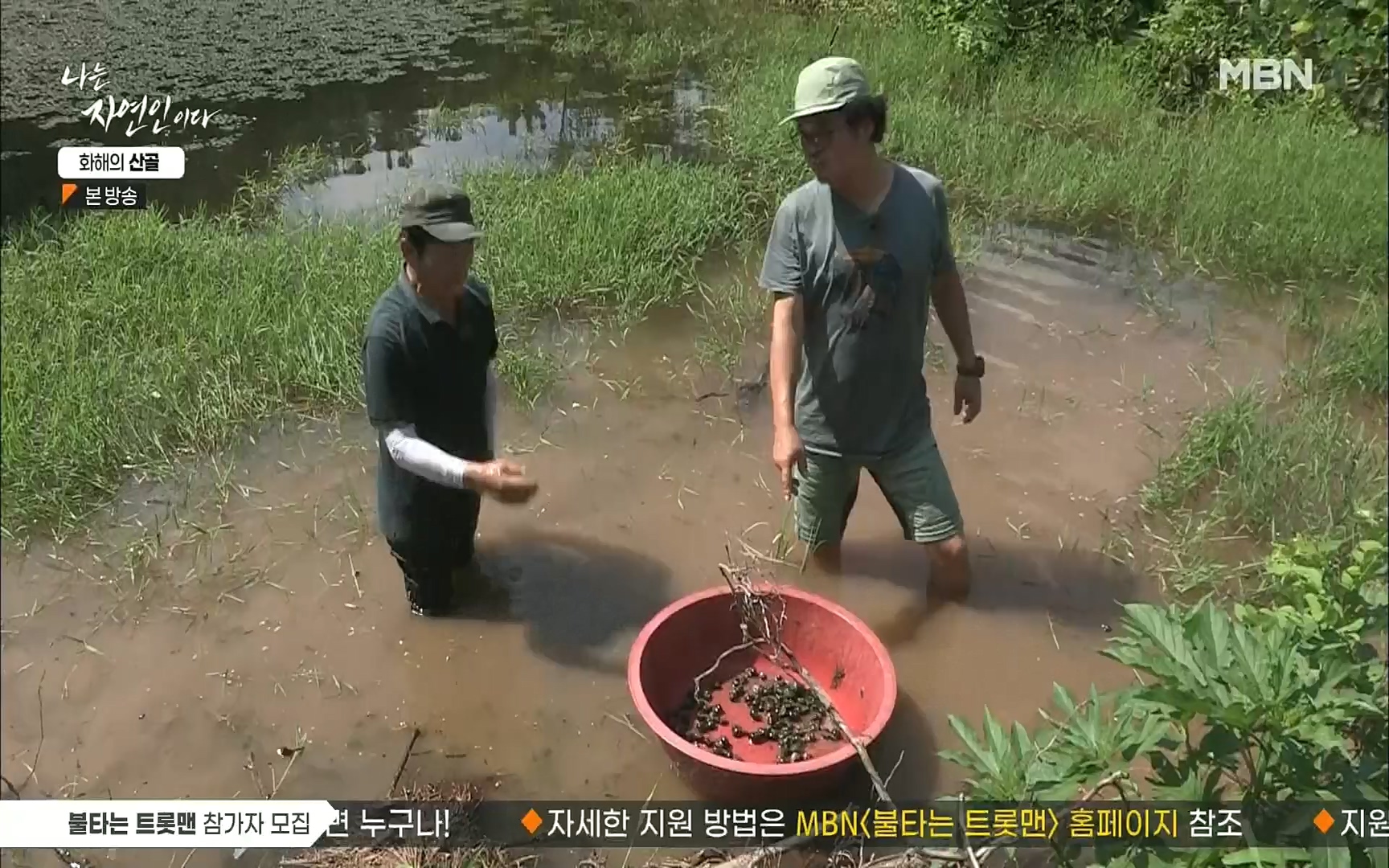 나는 자연인이다.E515.220817p.H264-F1RST.mp4_20220818_201928.787.jpg