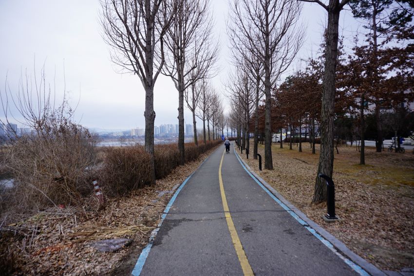 ㅎ린 하늘&#44; 명품 자전거길 양쪽에 늘어선 키 큰 가로수들&#44; 왼쪽에 흐르는 남한강&#44; 우측에 공원 정원수들&#44; 자전거길 가운데 홀로 걷는 어르신 남1&#44;