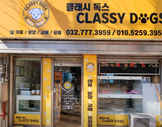 클래시독스