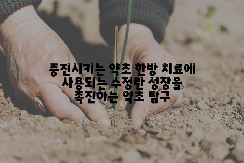 증진시키는 약초 한방 치료에 사용되는 수정란 성장을 촉진하는 약초 탐구