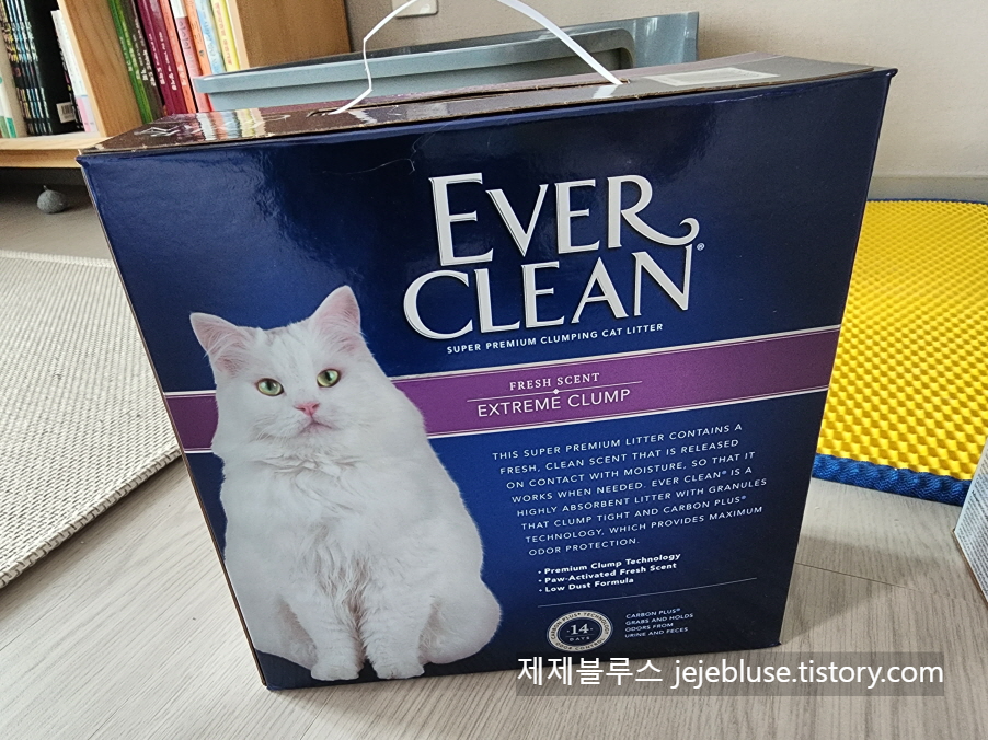고양이-모래-제품-다양성