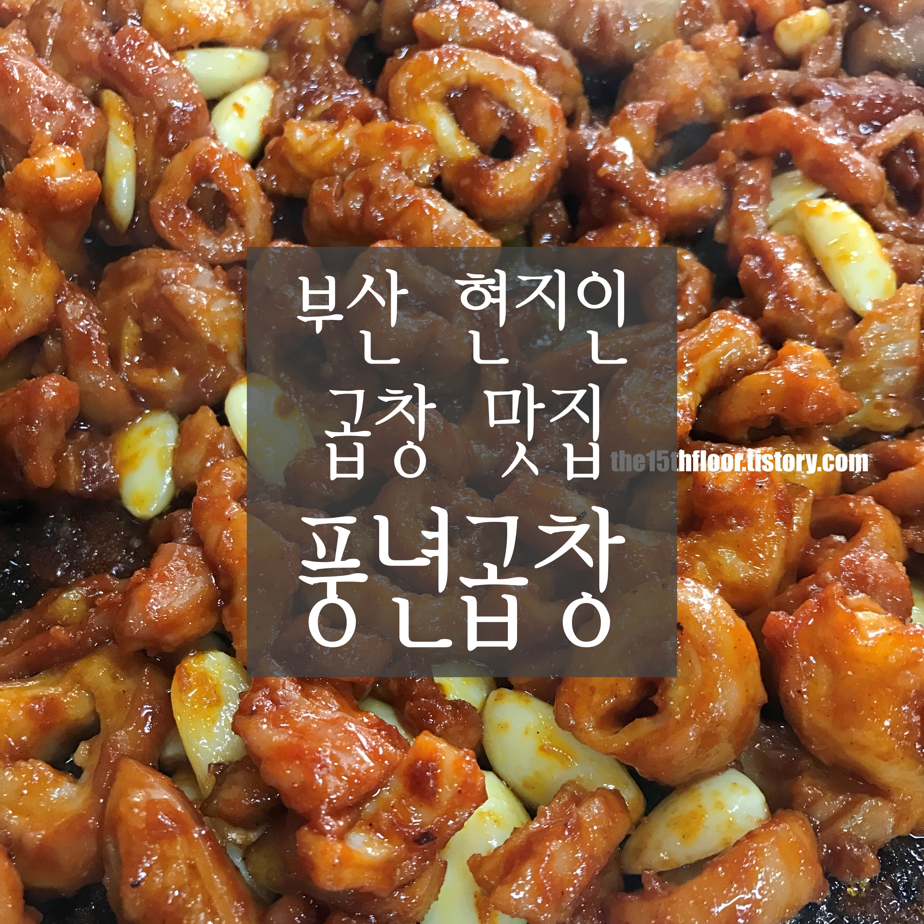  [부산 '풍년곱창'] 안 가본 사람은 있어도 한번 간 사람은 없다는 부산 현지인 곱창 맛집