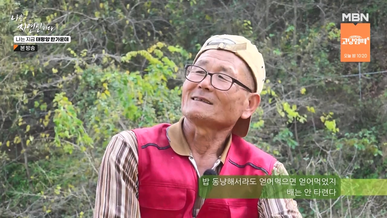 나는 자연인이다.E581.231123p-NEXT.mp4_20231123_200718.759.jpg