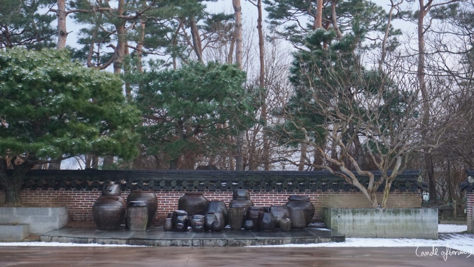 전주 겨울여행 전주겨울여행/한국도로공사 10