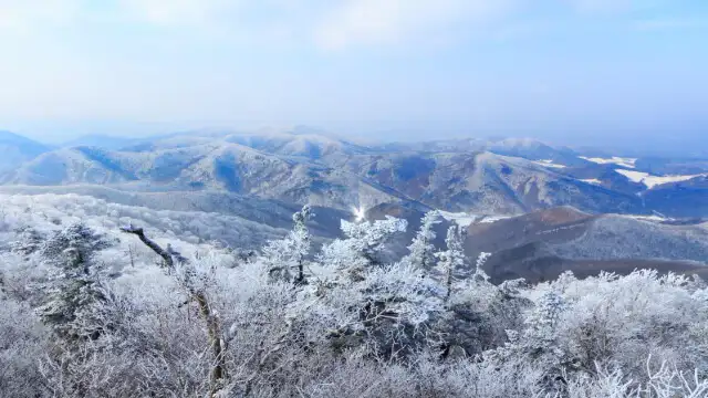 겨울여행-발왕산눈