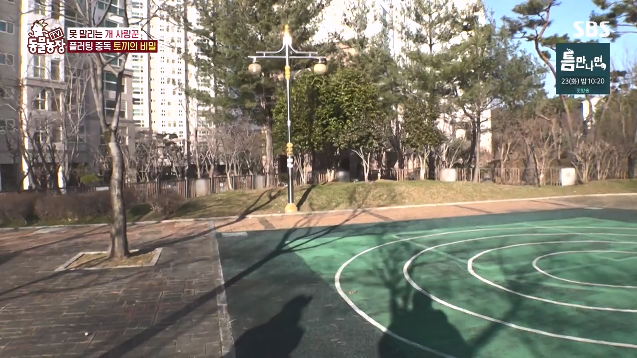 TV 동물농장.E1167.240415p-NEXT.mp4_20240414_160926.054.jpg