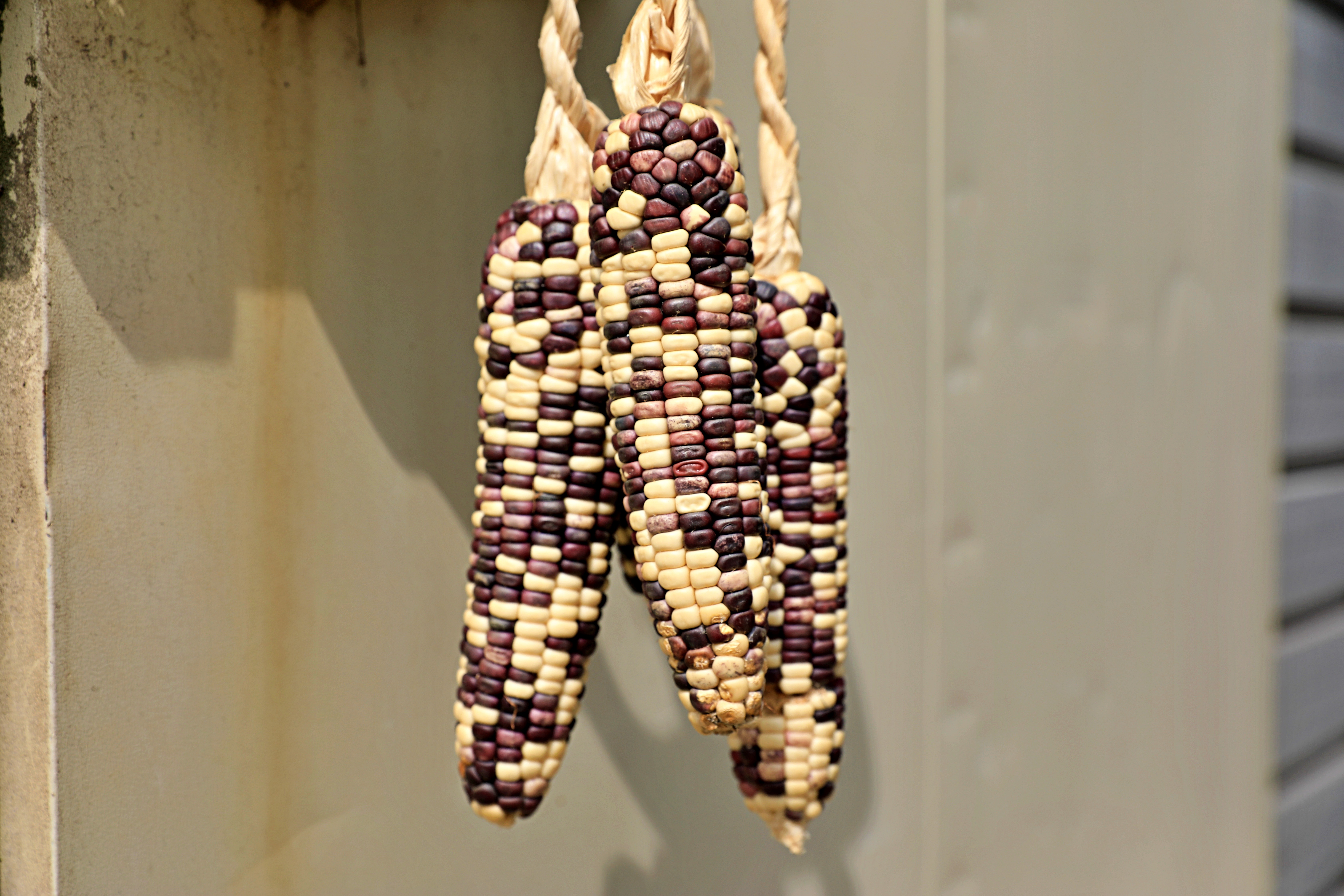 평택섭길(바닷물길) 215