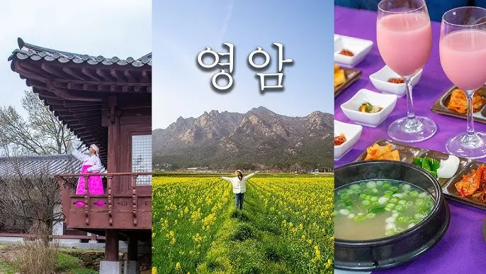 영암 가볼만한곳 베스트10 현지인 추천 필수코스_3