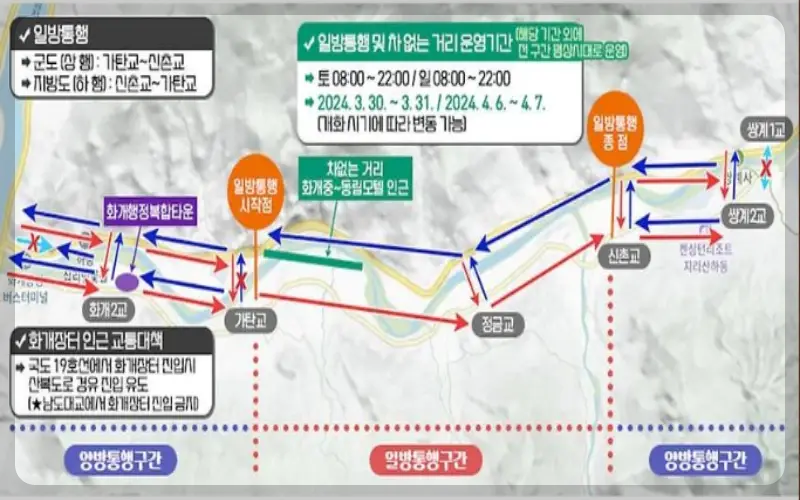 하동 십리벚꽃길 차 없는 거리