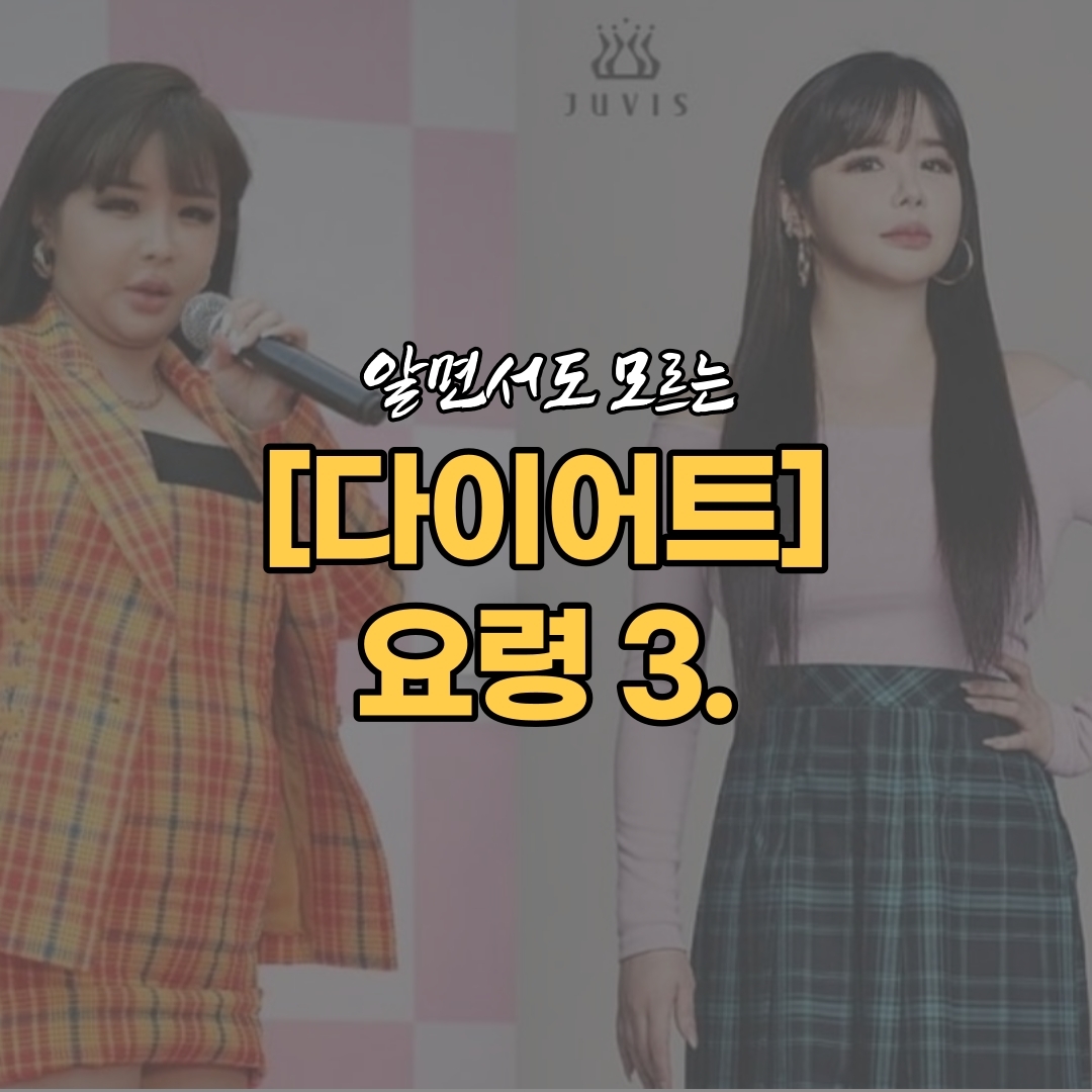  박봄 다이어트 감량 성공 [다이어트 비법 정보]