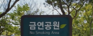 금연-지원금