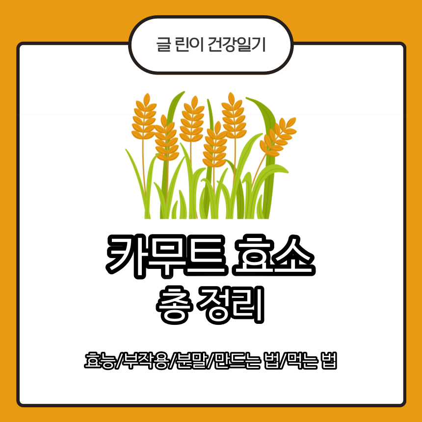 카무트 효소
카무트 효소 효능
카무트 효소 부작용
카무트 효소 분말
카무트 효소 만드는 법
카무트 효소 먹는 법