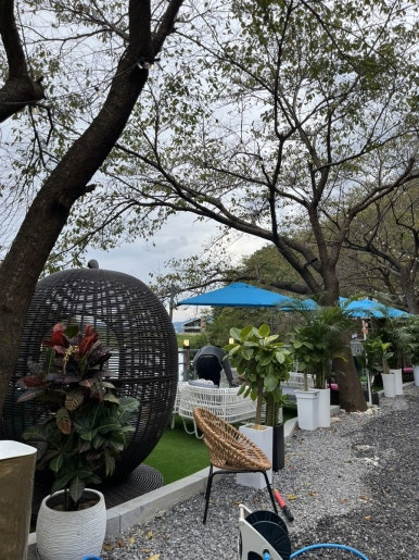 용인반려견동반카페