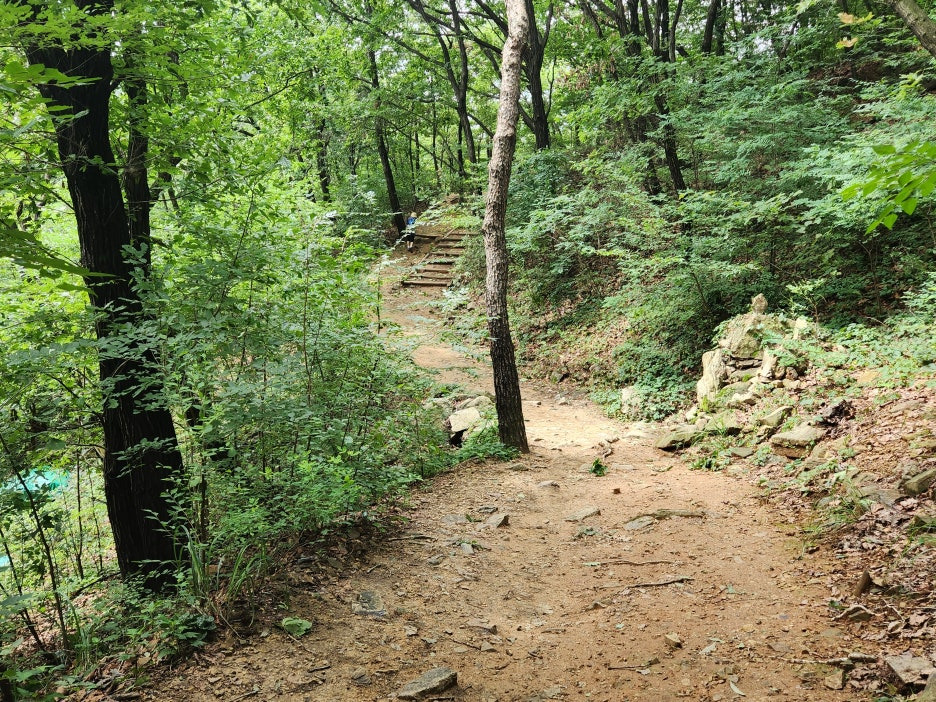 소래산 정상 이미지
