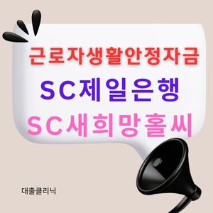 SC제일은행 새희망홀씨2