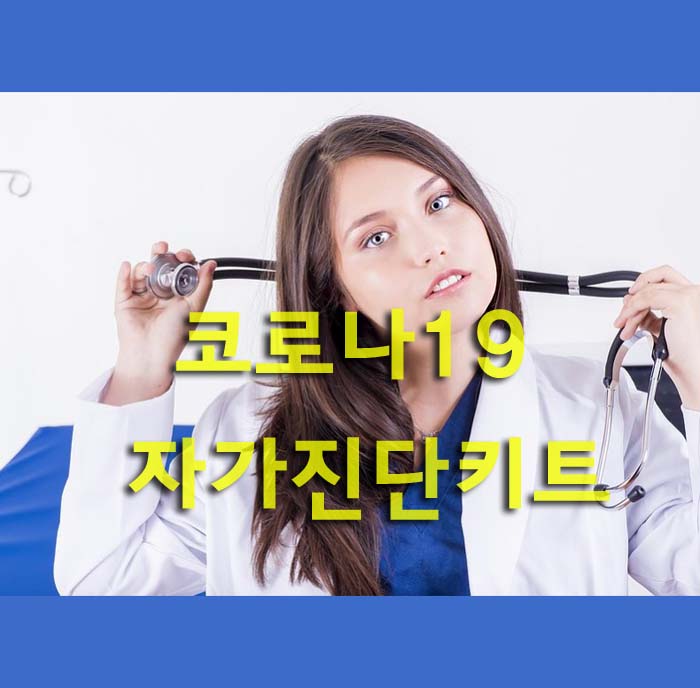  코로나19 자가진단키트 가격 구매방법 코로나 자가검사키트