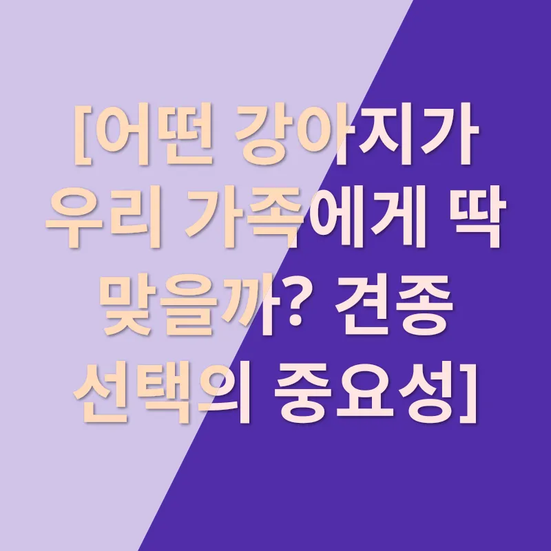 반려견 맞이_1