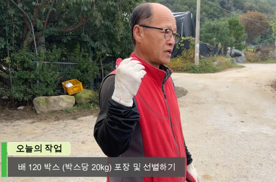 장터농장 이미지
