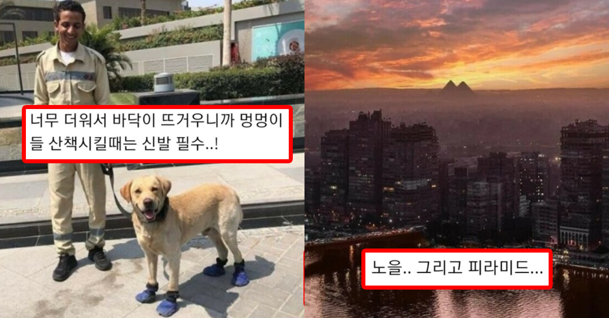  관광책자에서는 볼 수 없는 '진짜 이집트'의 모습들