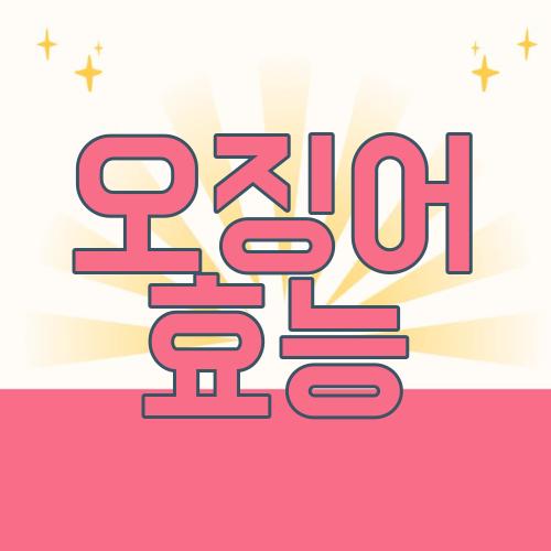 오징어 효능