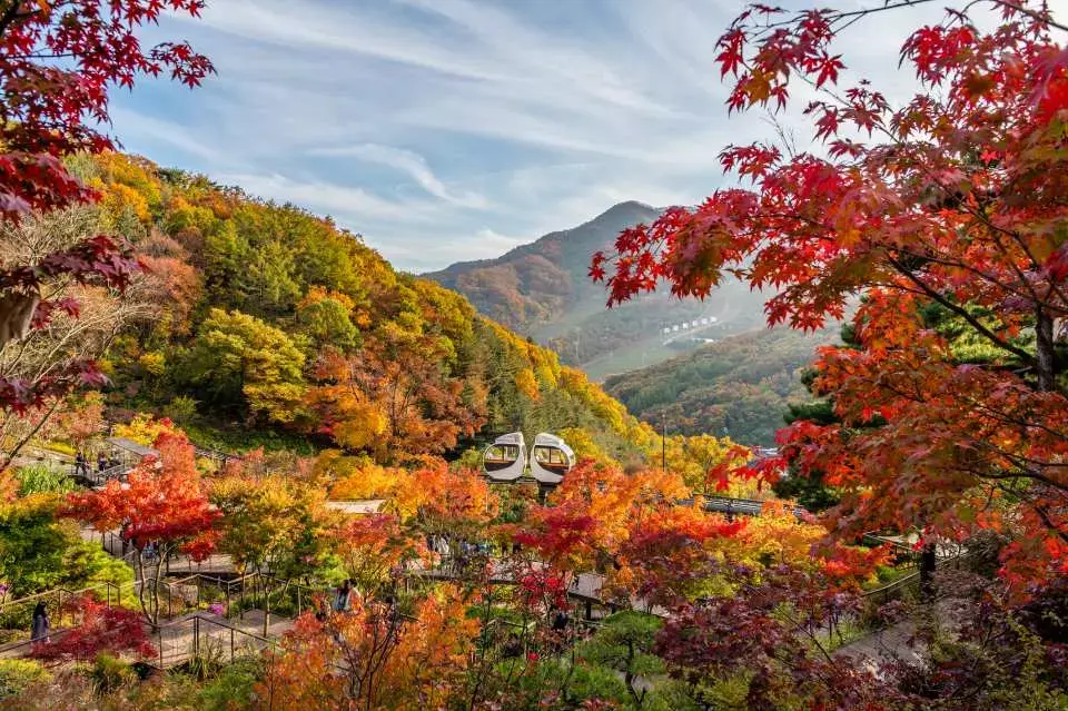  한국 시도별 단풍 시기: 가을 단풍의 화려한 아름다움