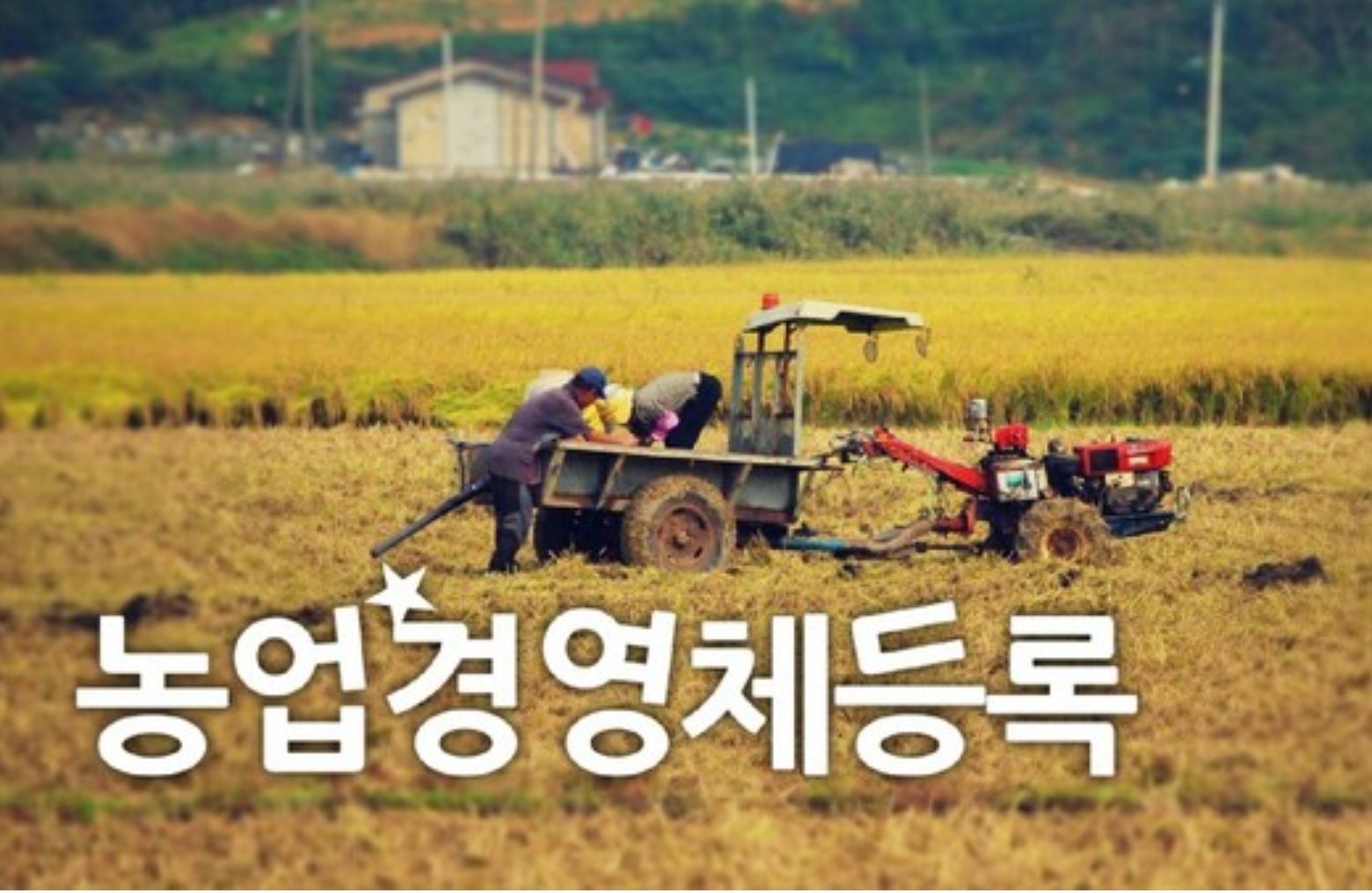  농업경영체 등록 조건,농업경영체등록 확인서 발급