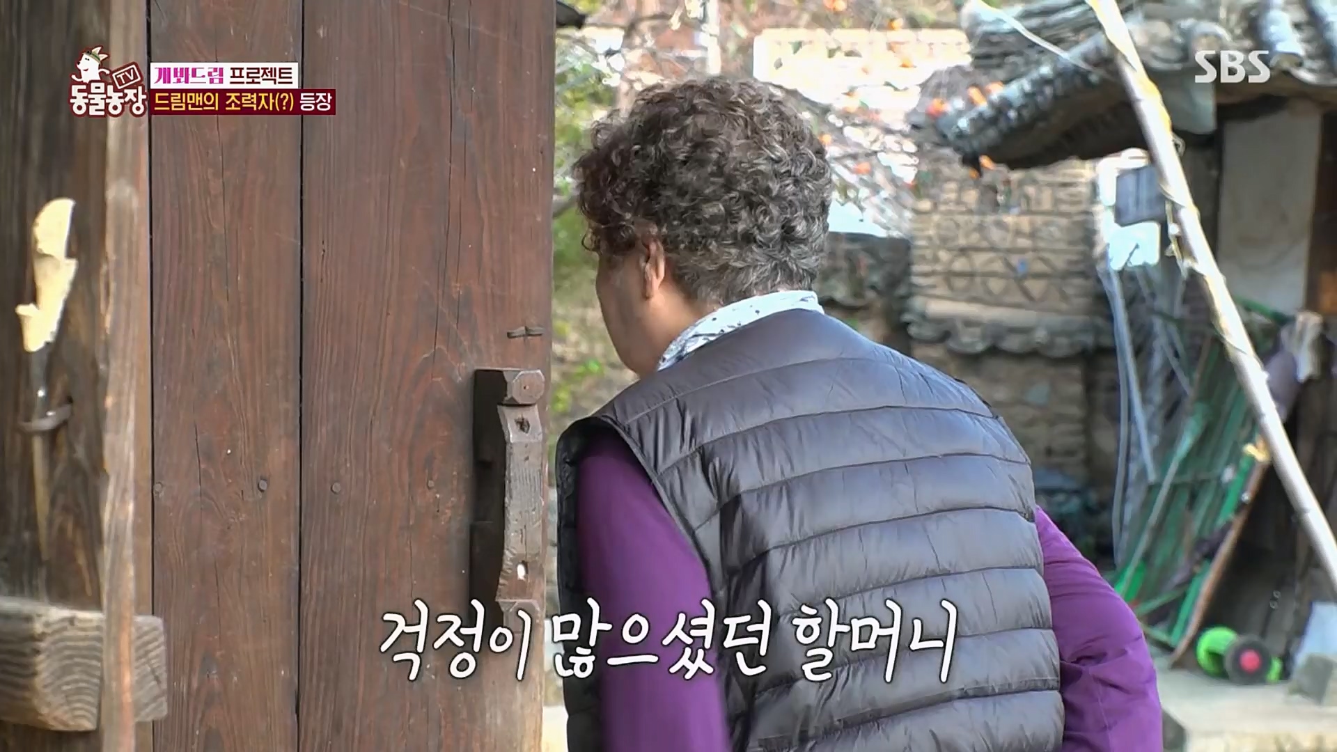 TV 동물농장.E1103.230108p.H264-F1RST.mp4_20230108_174646.352.jpg