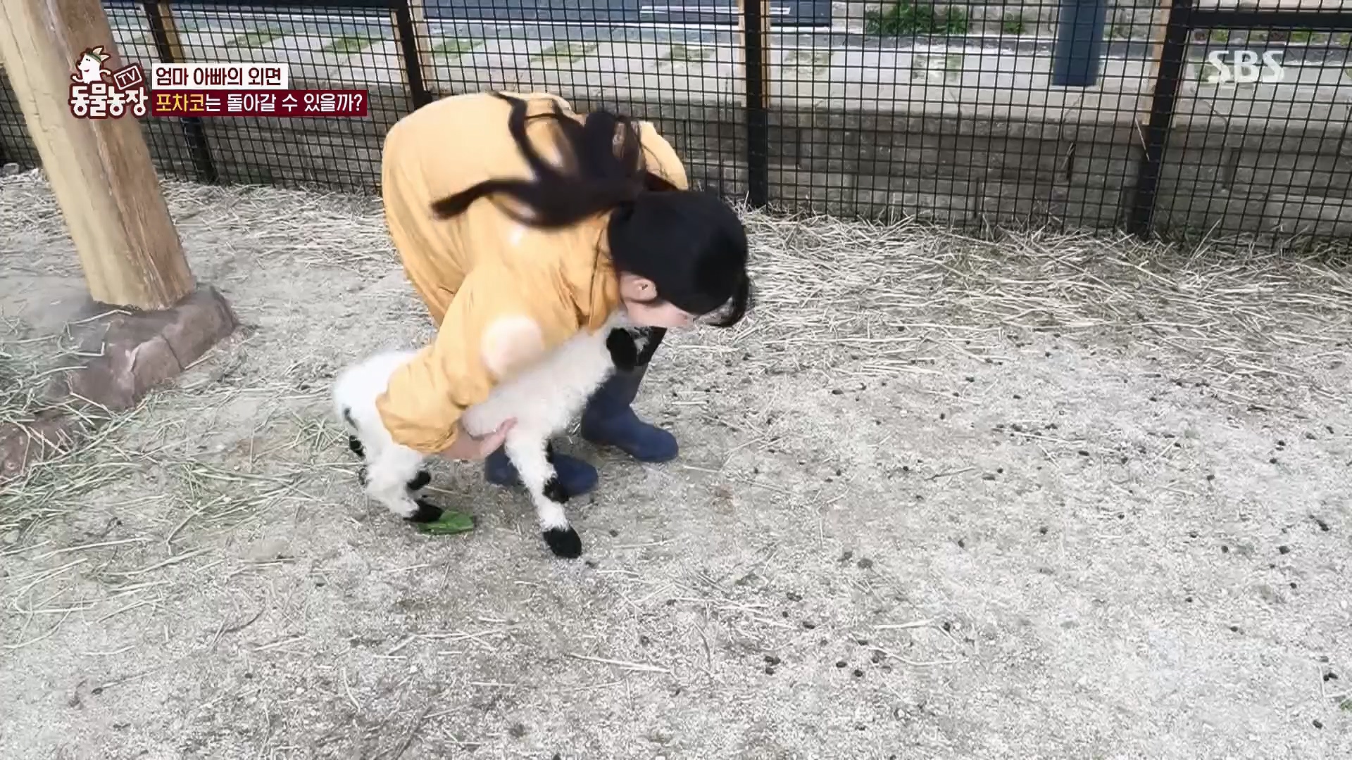 TV 동물농장.E1119.230507p.H264-F1RST.mp4_20230507_135923.434.jpg