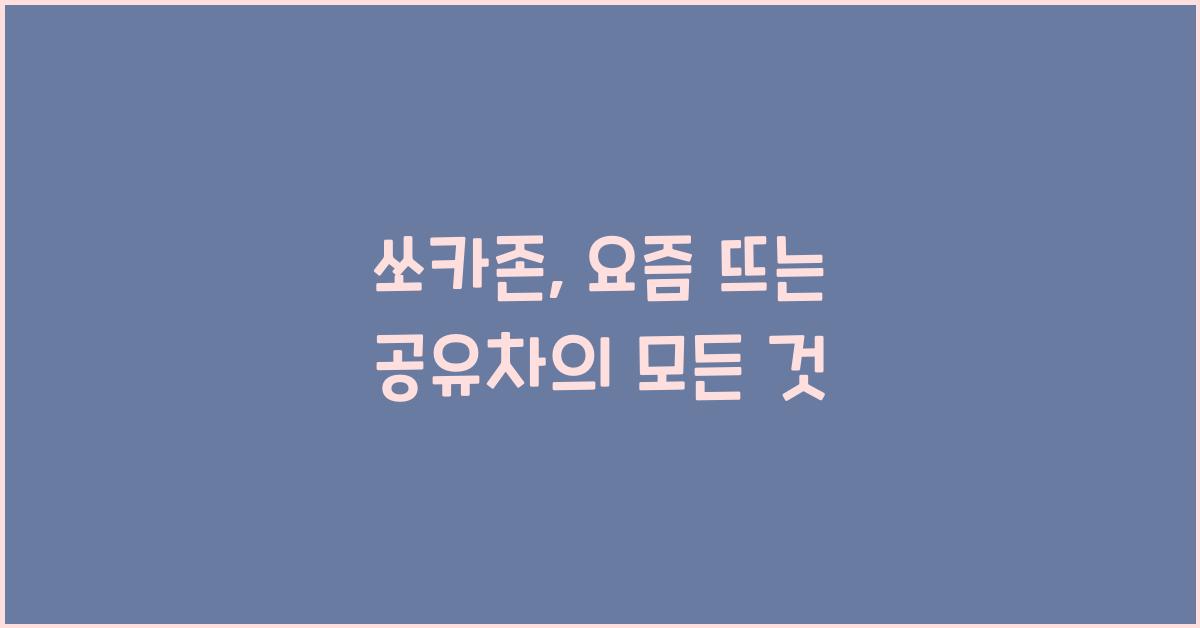 쏘카존