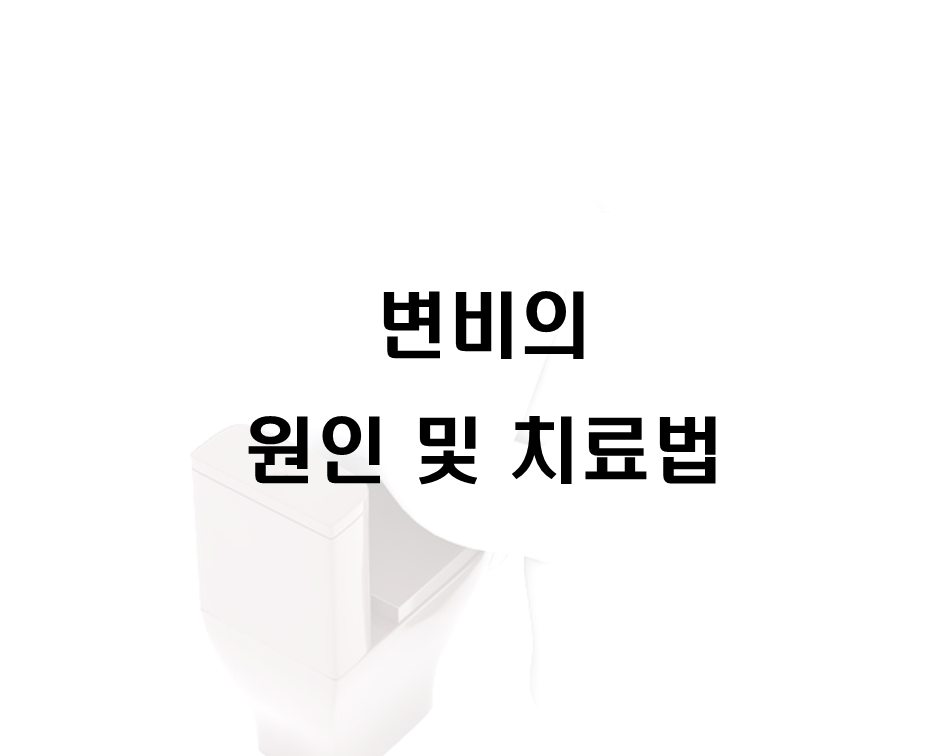  변비의 원인 및 치료법