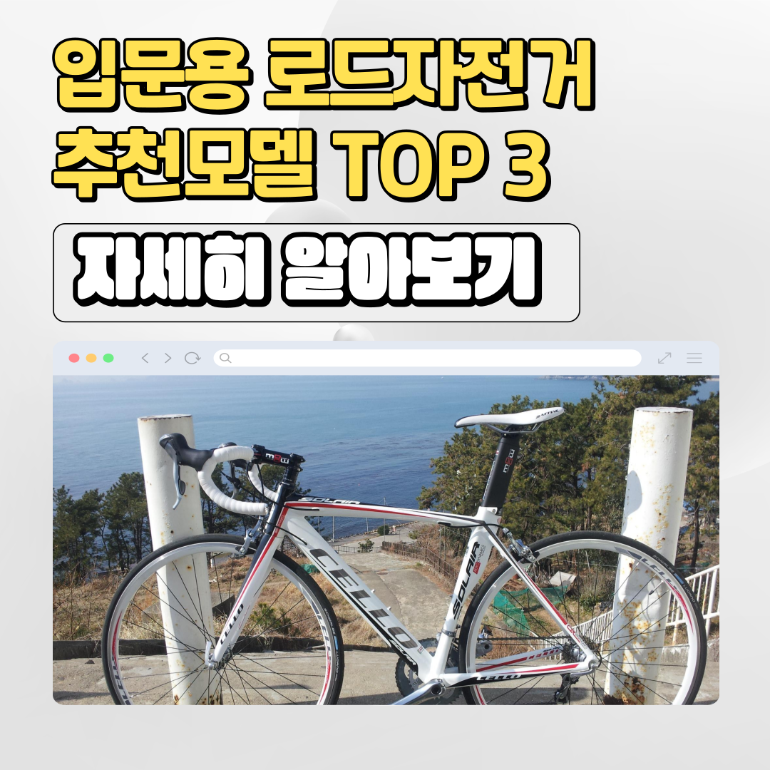  입문용 로드자전거 추천 브랜드 Top 3