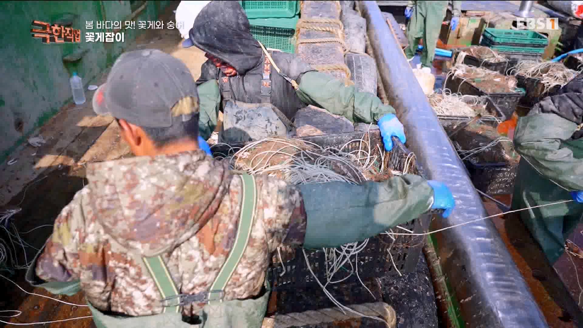 극한 직업 꽃게와 숭어 1080p.mp4_20230530_194642.940.jpg