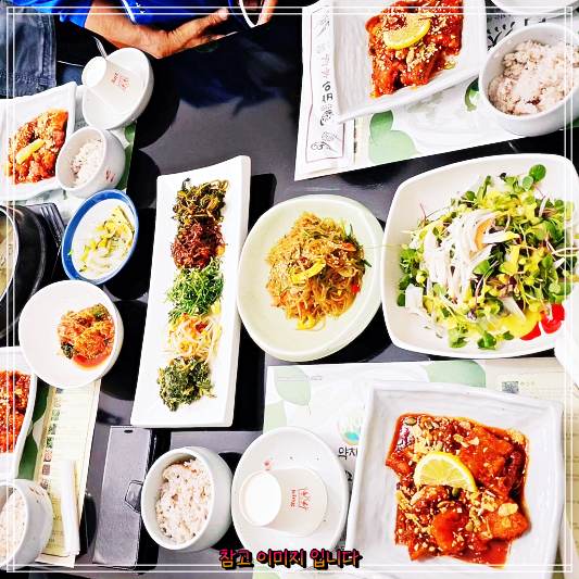  제천 고속버스터미널 바우본가의 숨겨진 보석, 약초한정식 순채요리 , 약선한정식 맛집 - 이만기 동네한바퀴 해독 약선요리 오색빛깔 한정식 추천