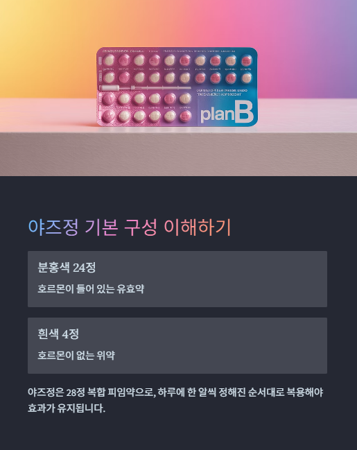 야즈정 기본 구성 이해하기