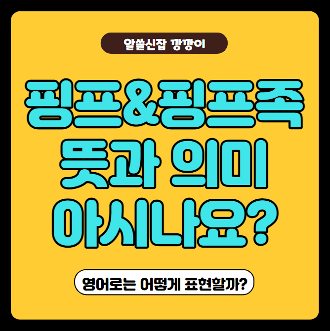  핑프, 핑프족의 뜻과 의미, 예시 및 유사어 완벽정리!