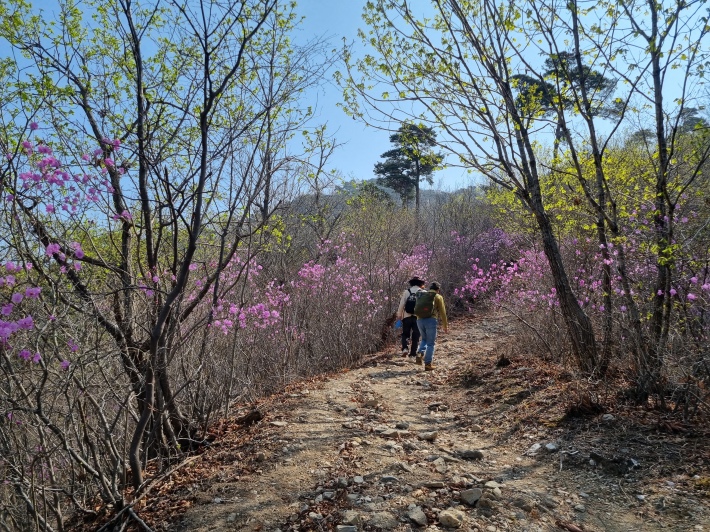 등산로