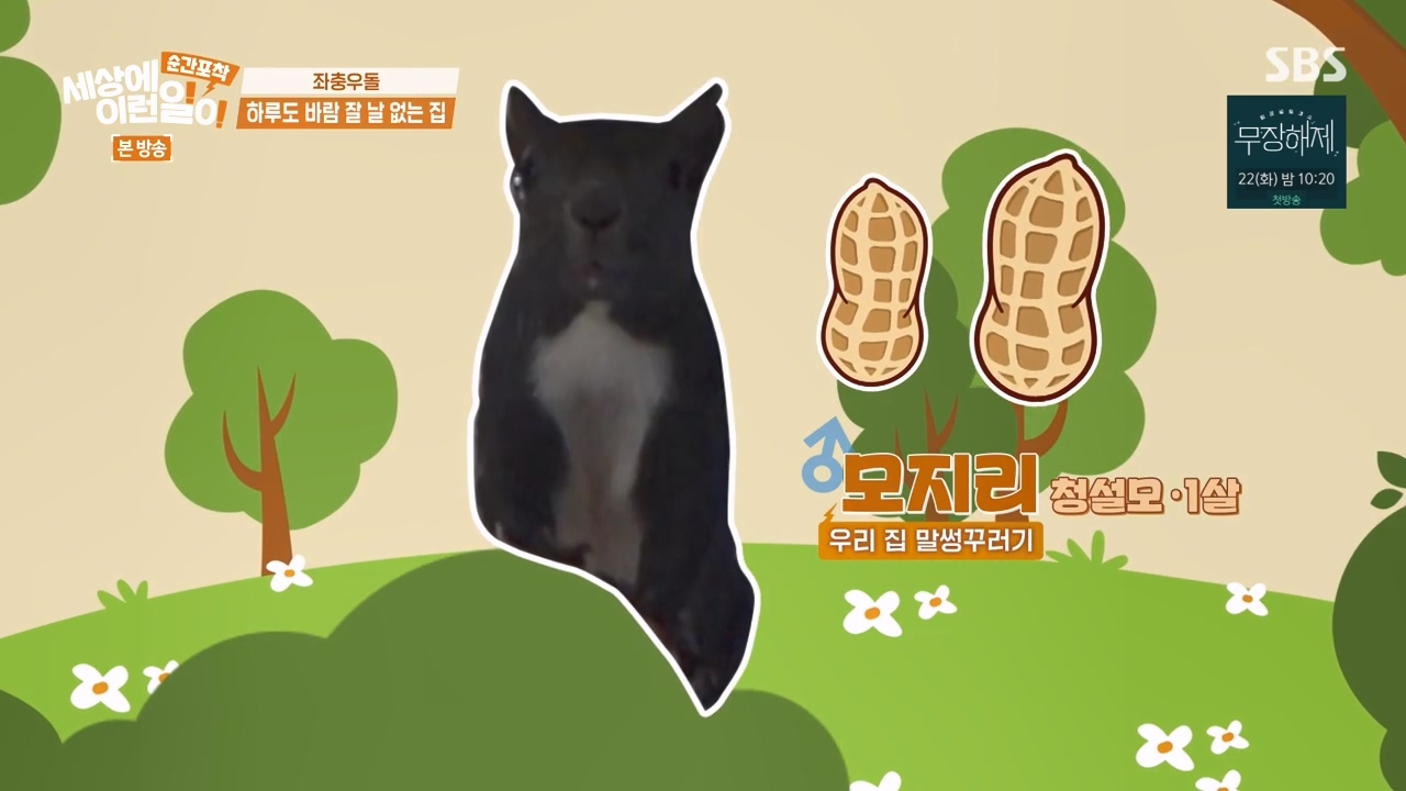 순간포착 세상에 이런일이.E1242.230820p-NEXT.mp4_20230820_183602.445.jpg
