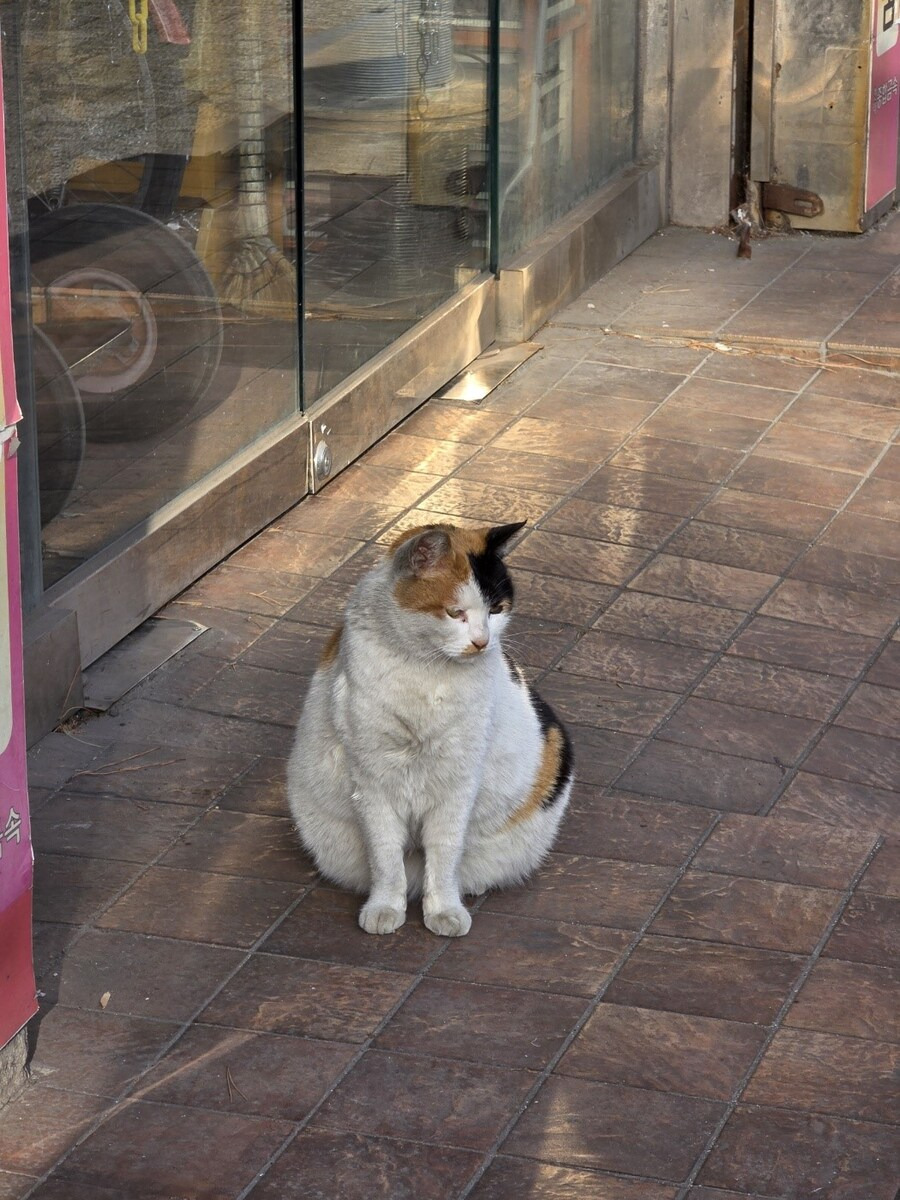 img.jpg