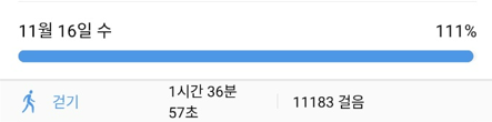  11/16(수) 간헐적 단식 다이어트 식단 (폭식!)
