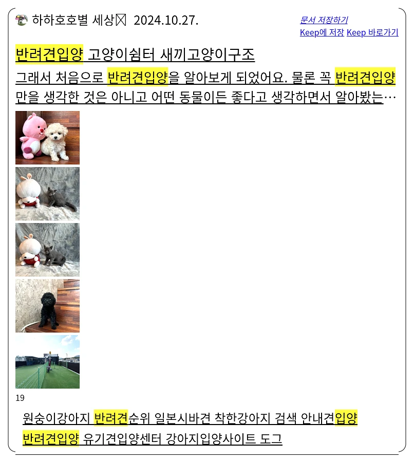 반려견 입양_1_subsection