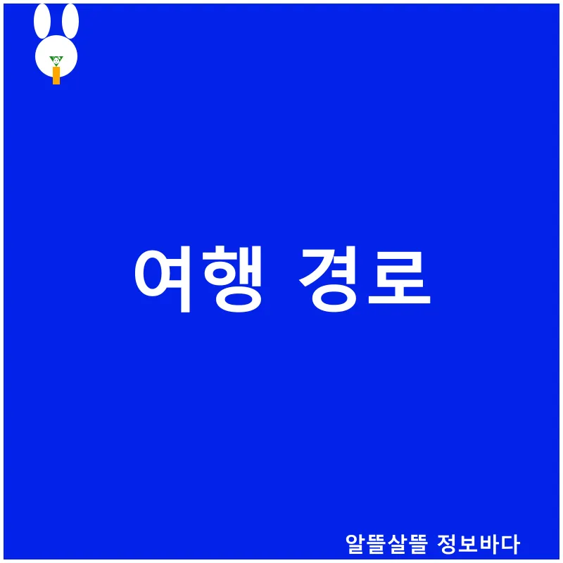 캠핑 유형 비교_1_subsection