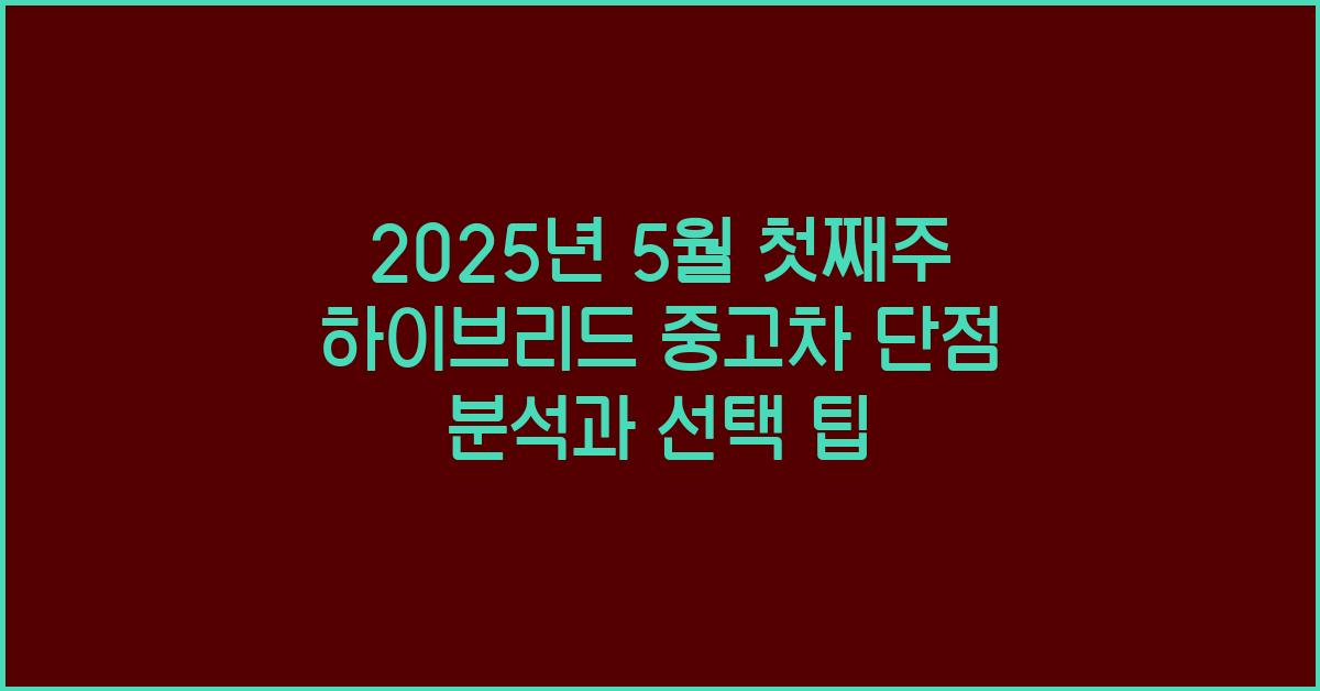 2025년 5월 첫째주 하이브리드 중고차 단점