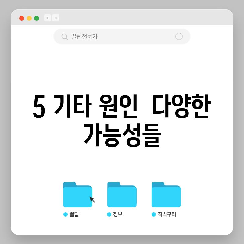 5. 기타 원인:  다양한 가능성들