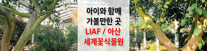 LIAF-아산-세계꽃식물원