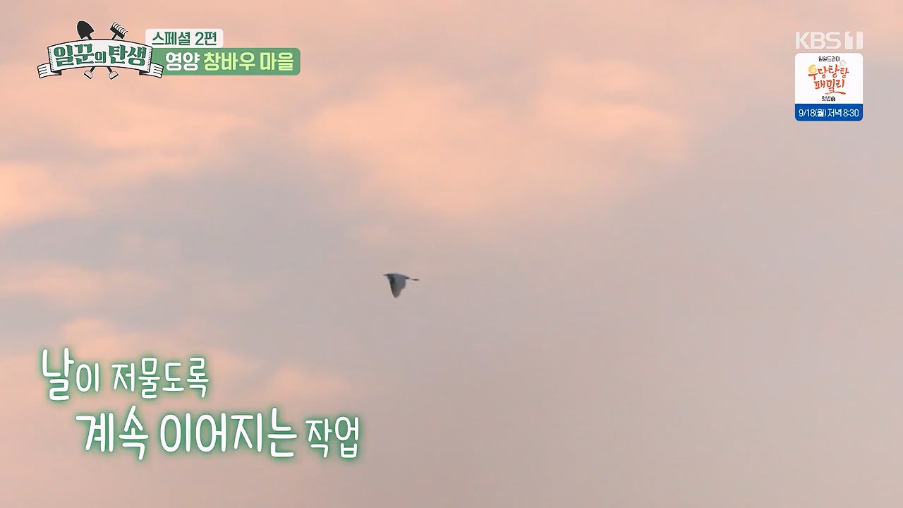 일꾼의 탄생.E89.230914p-NEXT.mp4_20230918_200646.749.jpg
