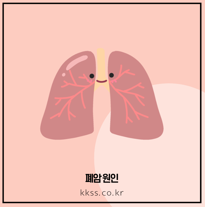 폐암 초기증상 치료 방법 잦은 기침 가슴통증 원인 1기 4기 생존율 - 폐암 원인 폐암 원인