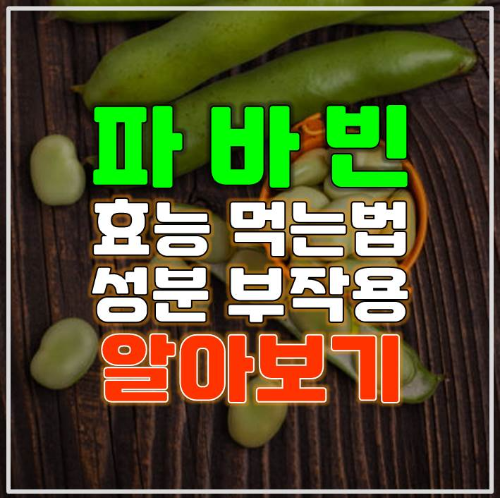  파바빈 효능 영양성분 먹는 방법 부작용 알아보기